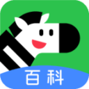 球探：塔图姆在赌城办训练营 全程没穿保护靴&移动自如